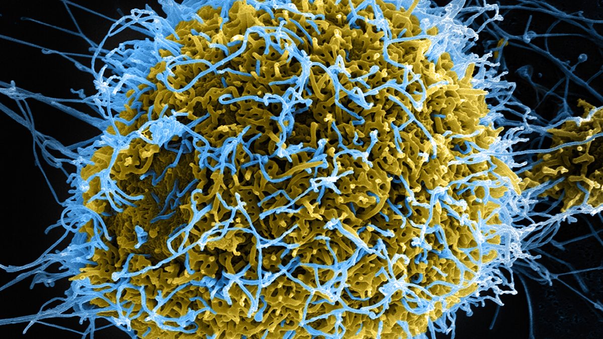 Cyberwaffe Stuxnet: Forscher rekonstruiert den Quellcode 16 Jahre später