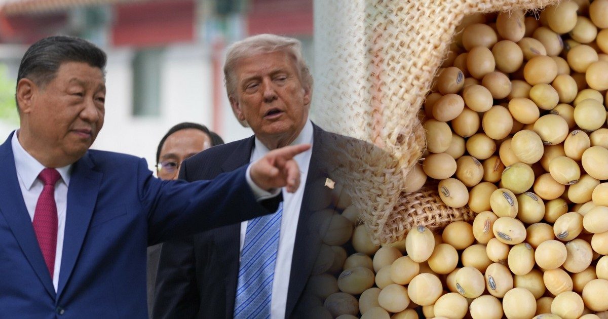Nietypowy ruch Chin przed wizytą Xi w USA. Kupują milion ton jednego produktu