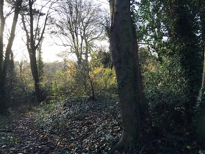 Un parc ucclois rouvert après quinze ans de fermeture