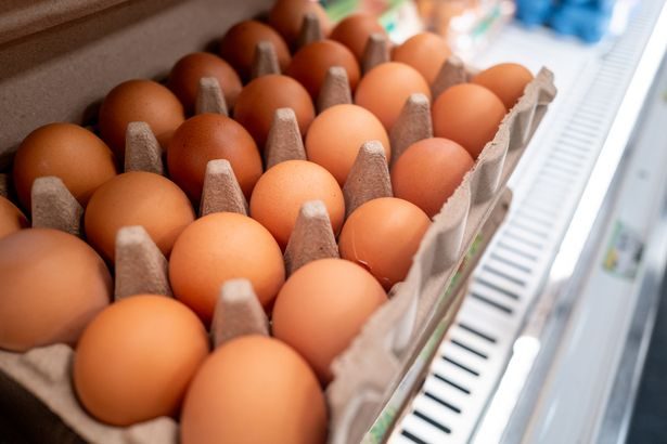 Salmonella outbreak cases soar in new UKHSA update as doctors issue urgent warning