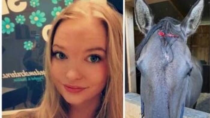 Sweden Discovers That Deporting Immigrant Gangsters Reduces Crime...