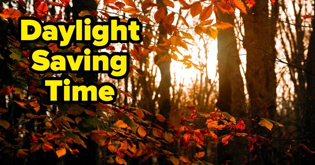 Can I Guess Which Obscure Autumn Activity You're Counting Down The Days For?
