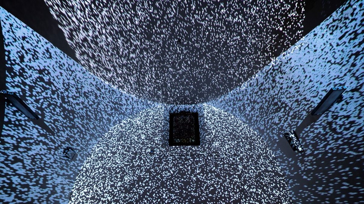 Il caso e l'imprevedibilità, musica e arti performative al Festival ArteScienza
