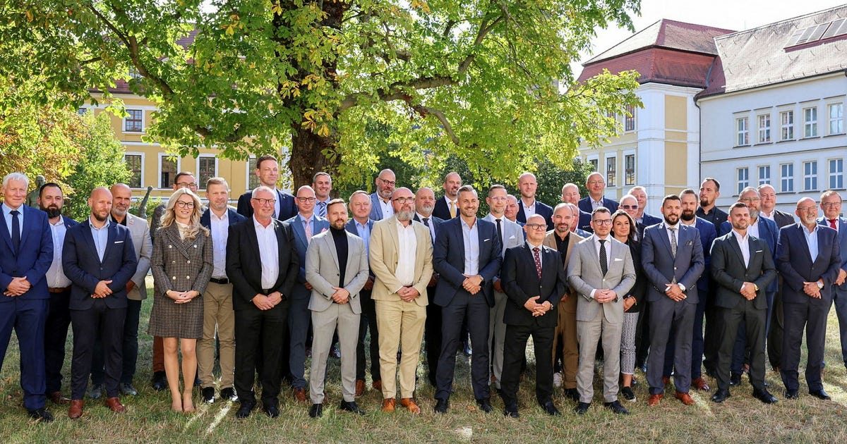 Stasiförflutet, högerextremism och porrkarriär – här är AFD:s nya ledamöter