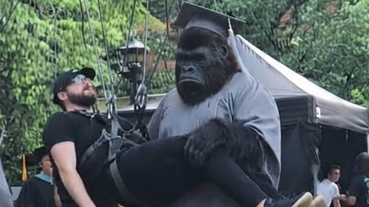 Superman spin-off show The People v Gorilla Grodd reveals absurd first look at the titular ape — and DC fans are callin…