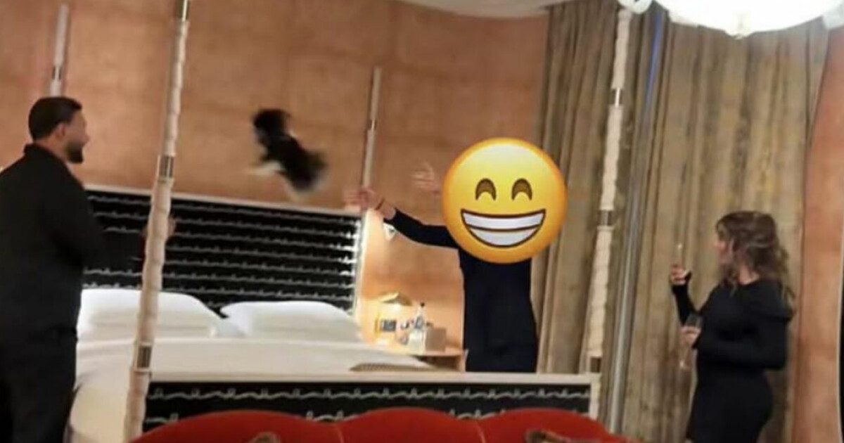 Anklager om dyremishandling får Isabel Raad til å reagere kraftig