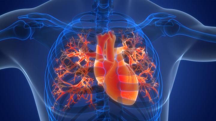 Nietypowy poziom testosteronu zwiększa ryzyko migotania przedsionków