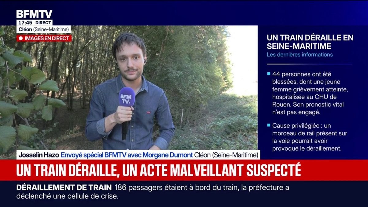 Déraillement d'un train en Normandie: de nombreux blessés toujours en état de choc après l'accident