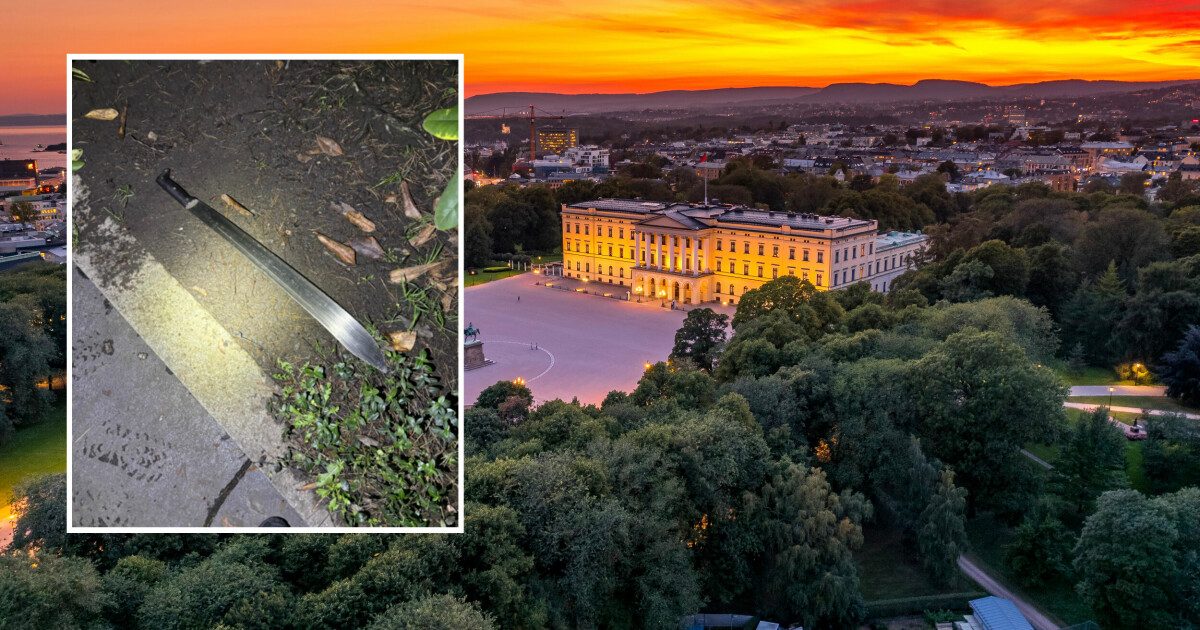 17-åring i retten: – Machete av den typen er ikke uvanlig