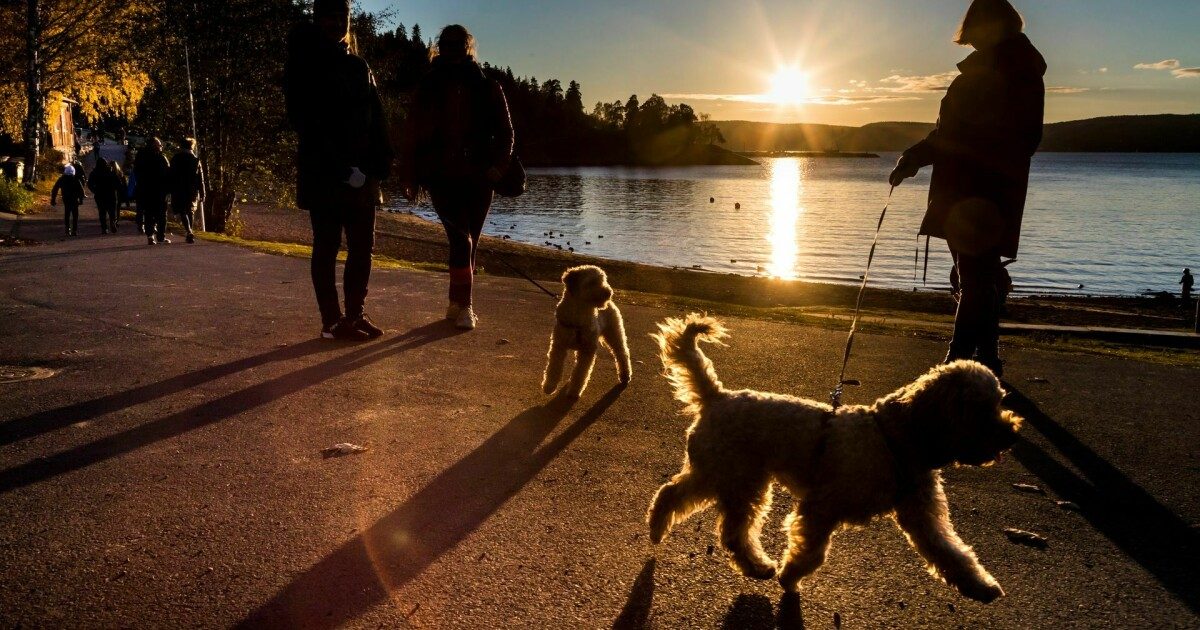 Melder opp mot 20 grader over hele landet