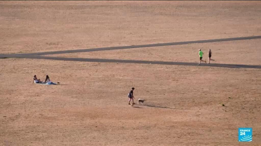 Changement climatique : la chaleur a atteint des niveaux jamais enregistrés cet été
