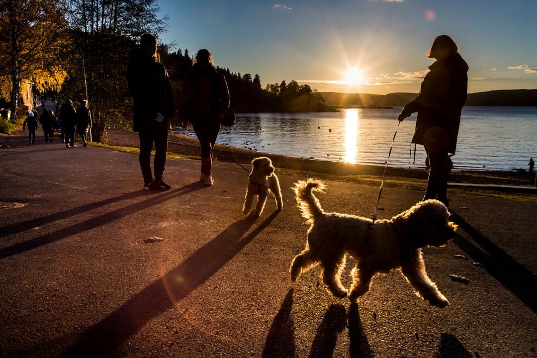 Helgen gir nesten 20 grader over hele landet