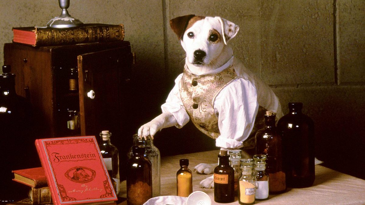 ‘Wishbone’ Officially Comes to Theaters for 30th Anniversary Event [Exclusive]