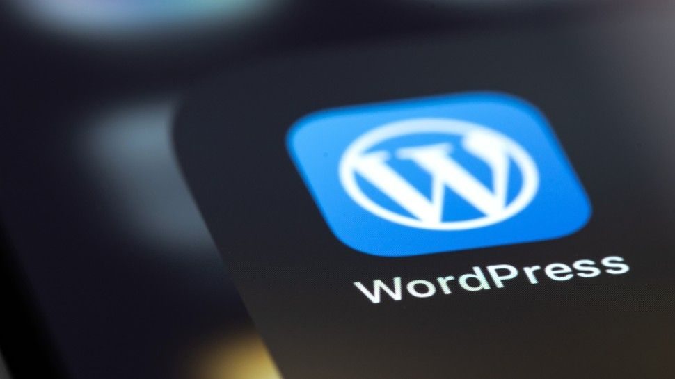 Automattic CEO Matt Mullenweg 'forced' into leave of absence by WordPress parent company board