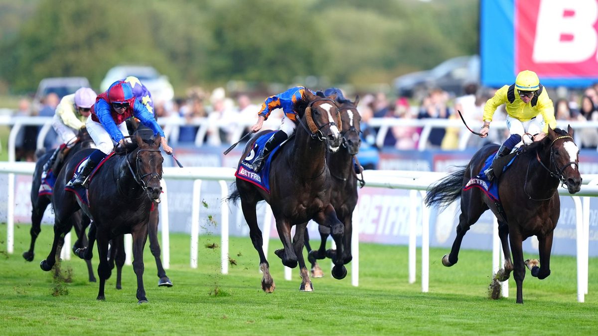 St Leger: Big race runners guide