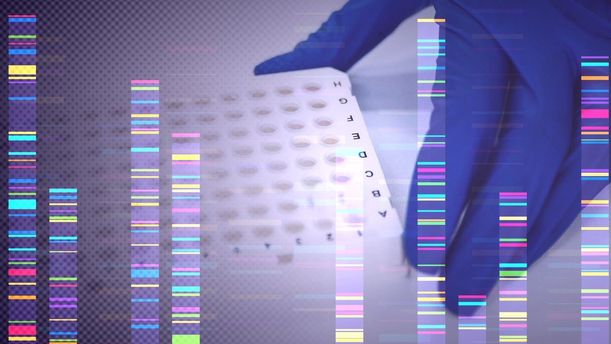Boom för dna-test av biologisk ålder – så funkar det