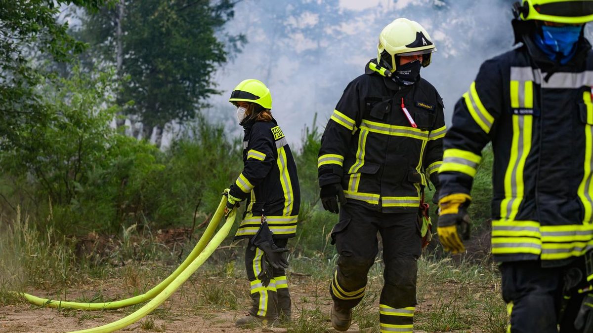 Waldbrandübung: Feuerwehr trainiert Löschen in abgelegenen Waldgebieten