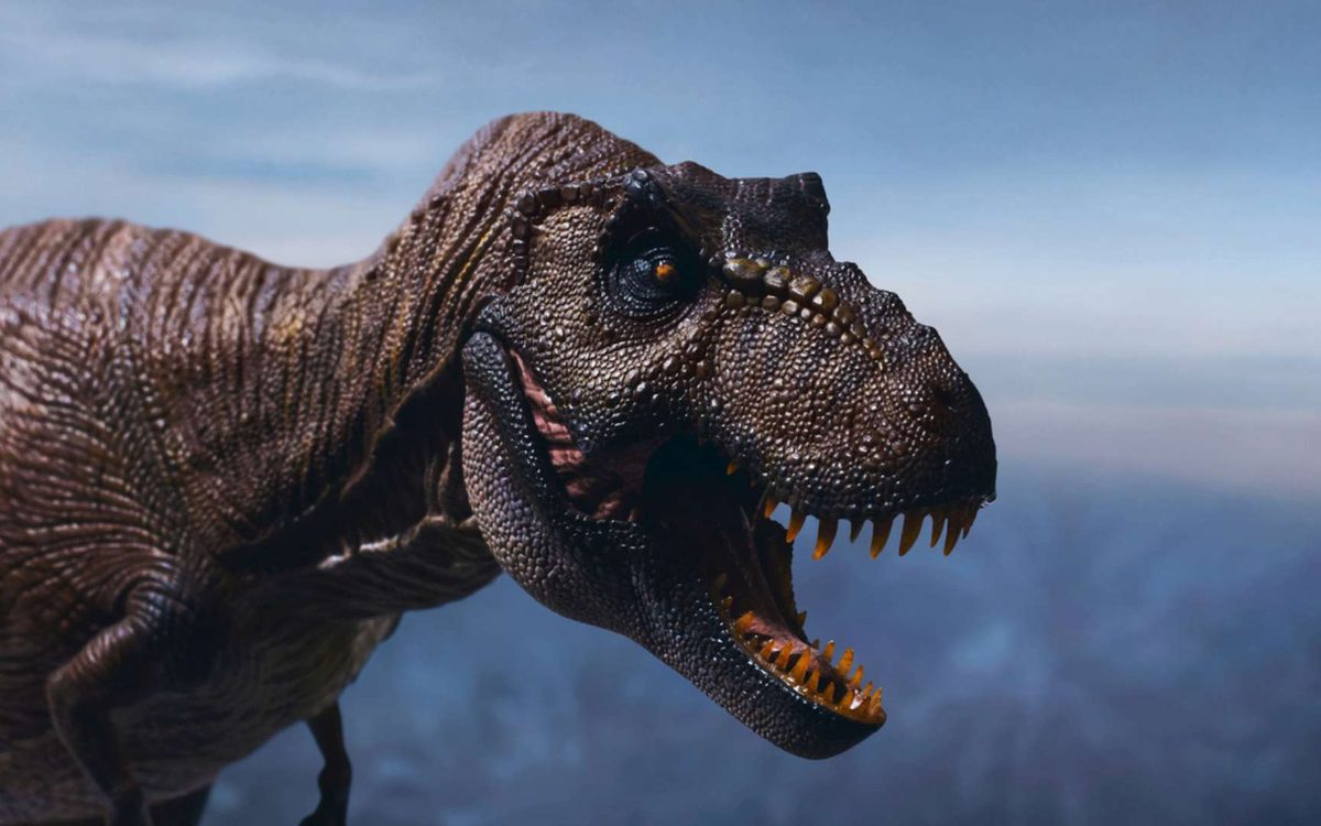 Le T. rex n’était pas qu’une brute : son cerveau aurait pu lui permettre de résoudre des problèmes et même d’utiliser d…