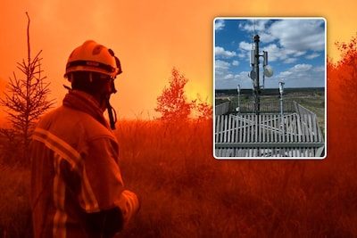 Vlaanderen trekt 3,8 miljoen euro uit voor Vuurschild tegen natuurbranden: “Eén vermeden brand en het project is terugb…
