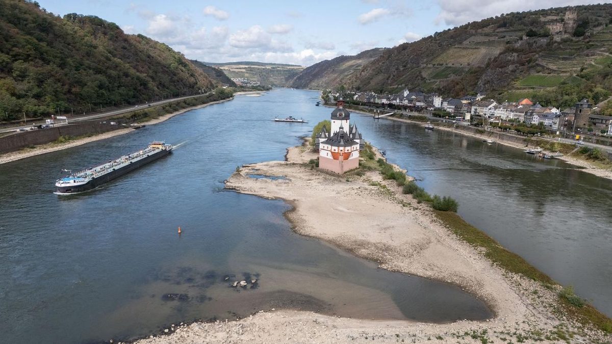 Wirtschaft am Rhein: IHK: Schaden nach Niedrigwasser wird immens sein