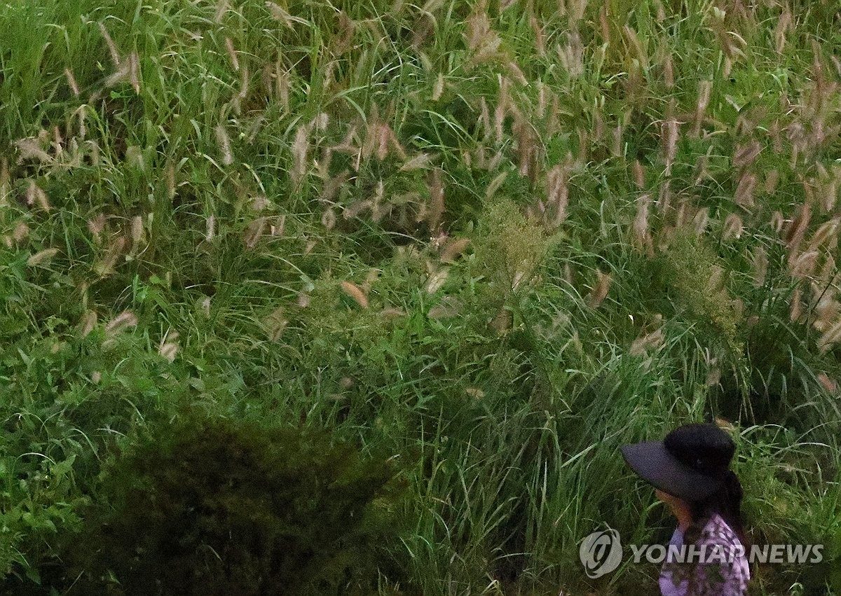 전북 낮 기온 25∼29도…"일교차 크니 건강 관리 유의"