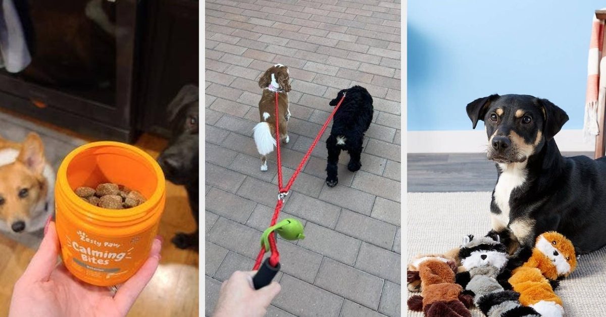 26 Things From Chewy That'll Really Come In Handy If You Live With Two Or More Dogs