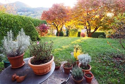 Ligt je tuin er treurig bij? Zo laat je gras, planten en bloemen in 6 stappen herleven voor een prachtig herfstseizoen