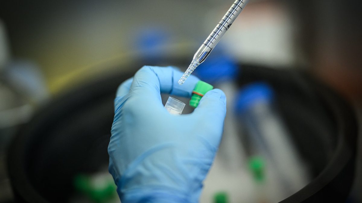 On connaissait les vaccins contre la grippe ou le Covid: comment le cancer est devenu le nouveau pari des géants de la…