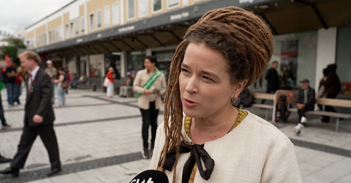 Amanda Linds (MP) oro med ett dygn kvar: ”Är lite rädda”