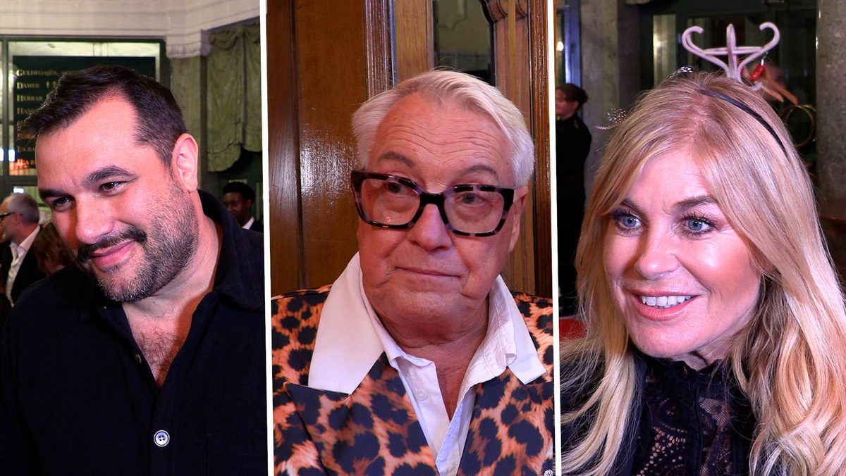 Kändisarnas partiförslag – frågan de vill driva