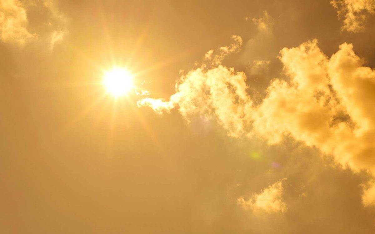 En 1995, une canicule a tué 739 personnes en une semaine, l'enquête a révélé autre chose
