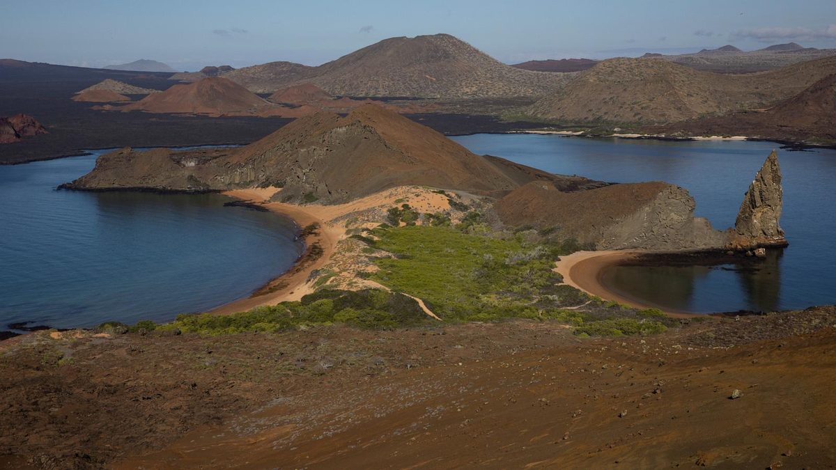 Stronger-than-normal El Nino alarms scientists over Galápagos wildlife and forests