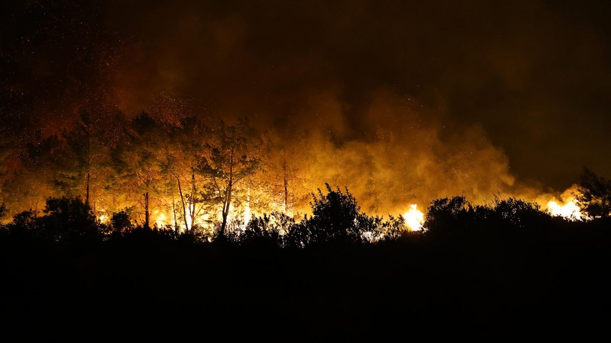 Volunteer firefighter dies in Turkey while tackling wildfire, 8 people injured