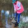 Bulimba Creek tops Brisbane waterways for hazardous microplastics, risk analysis finds