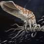 'Peculiar' new species of Jurassic squid found in Wyoming