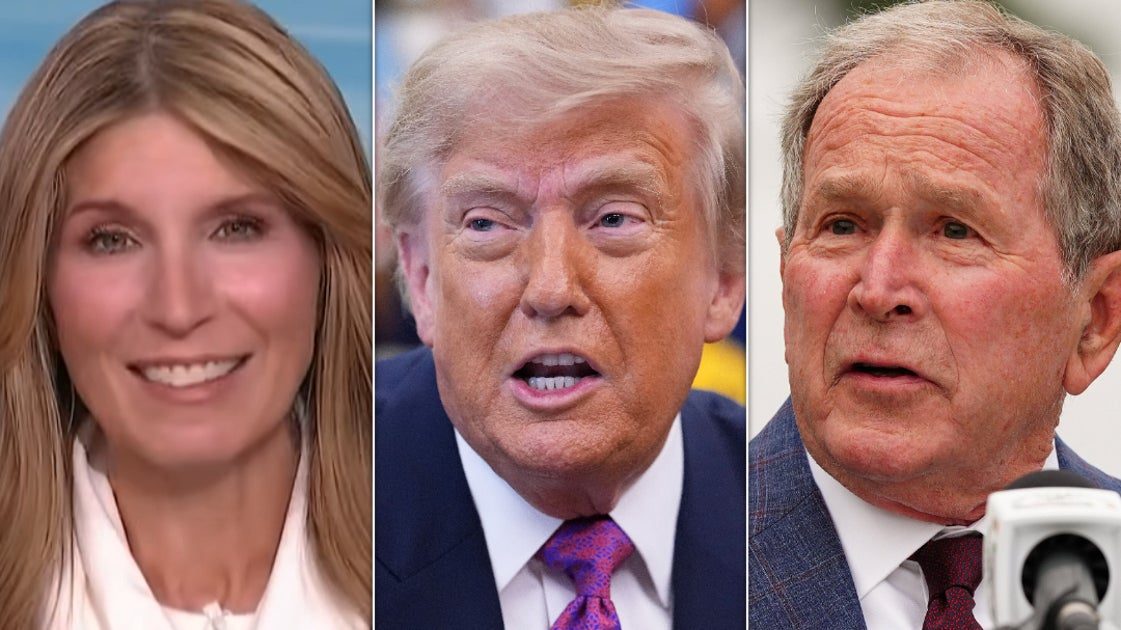 Nicolle Wallace Damns Trump And Natalie Harp Revelation With A Story About George W. Bush And A Spoon