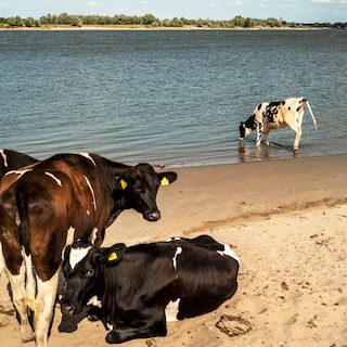 Augustus was wereldwijd de warmste maand ooit gemeten – intussen komt in Stille Oceaan ‘super-El Niño’ op gang