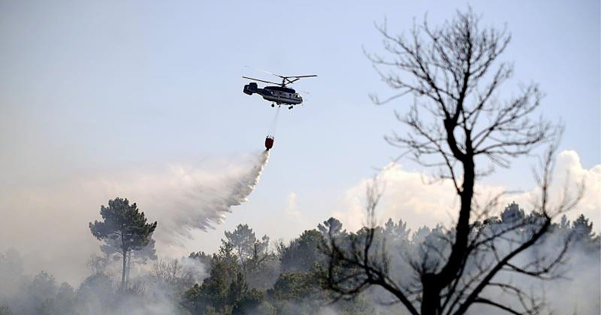 Los incendios forestales intencionados crecen: ya son uno de cada tres investigados por la Fiscalía