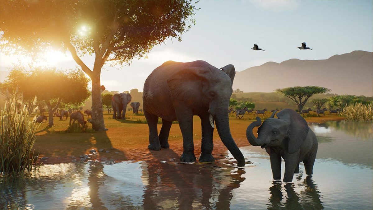Planet Zoo 2 Puts You Right Down into the Wild With Your Animals | IGN Preview