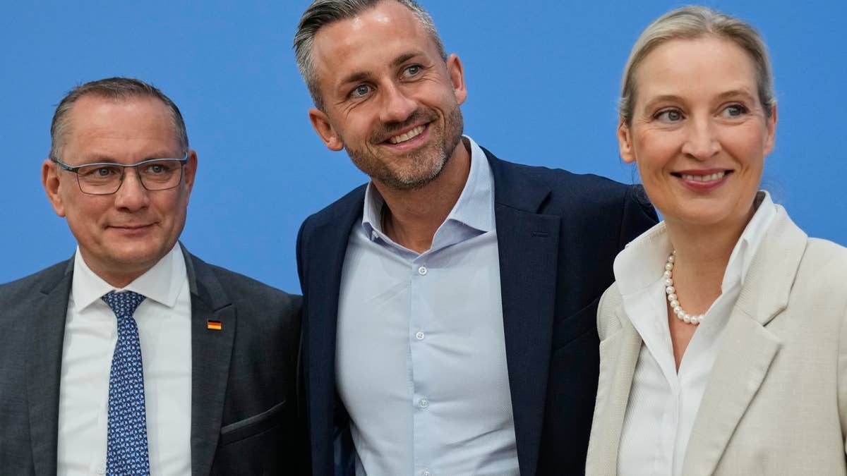 Tiotusentals protesterar mot AFD
