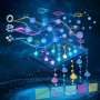 Physicists turn classical light into a quantum machine for information processing