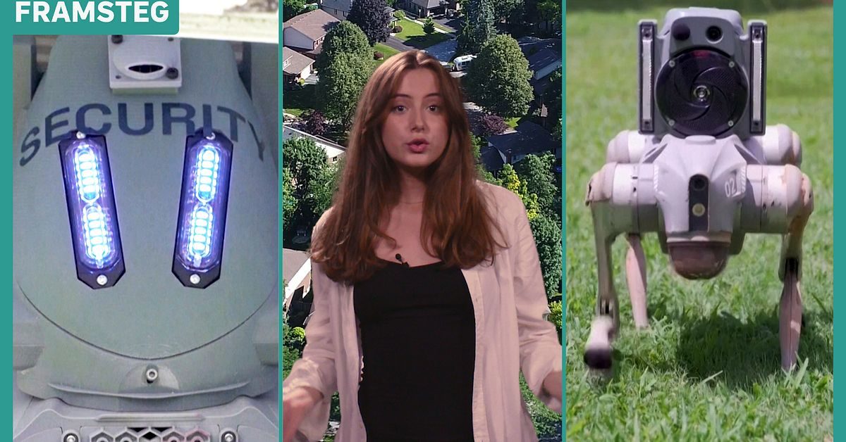 Robothundar ska skydda bostadsområden i Atlanta