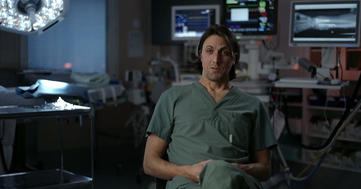 Vad vill du veta om transplantationer?