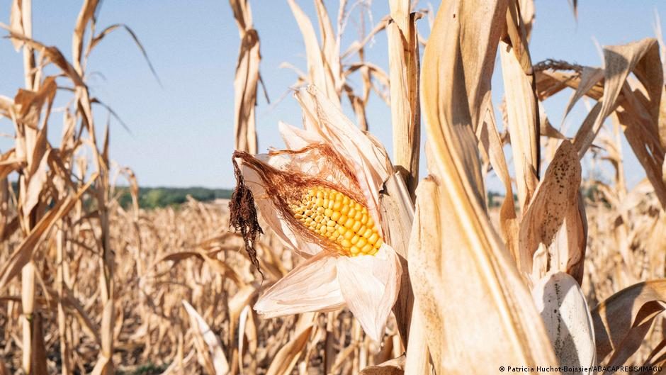 August hottest month ever recorded, says EU monitor