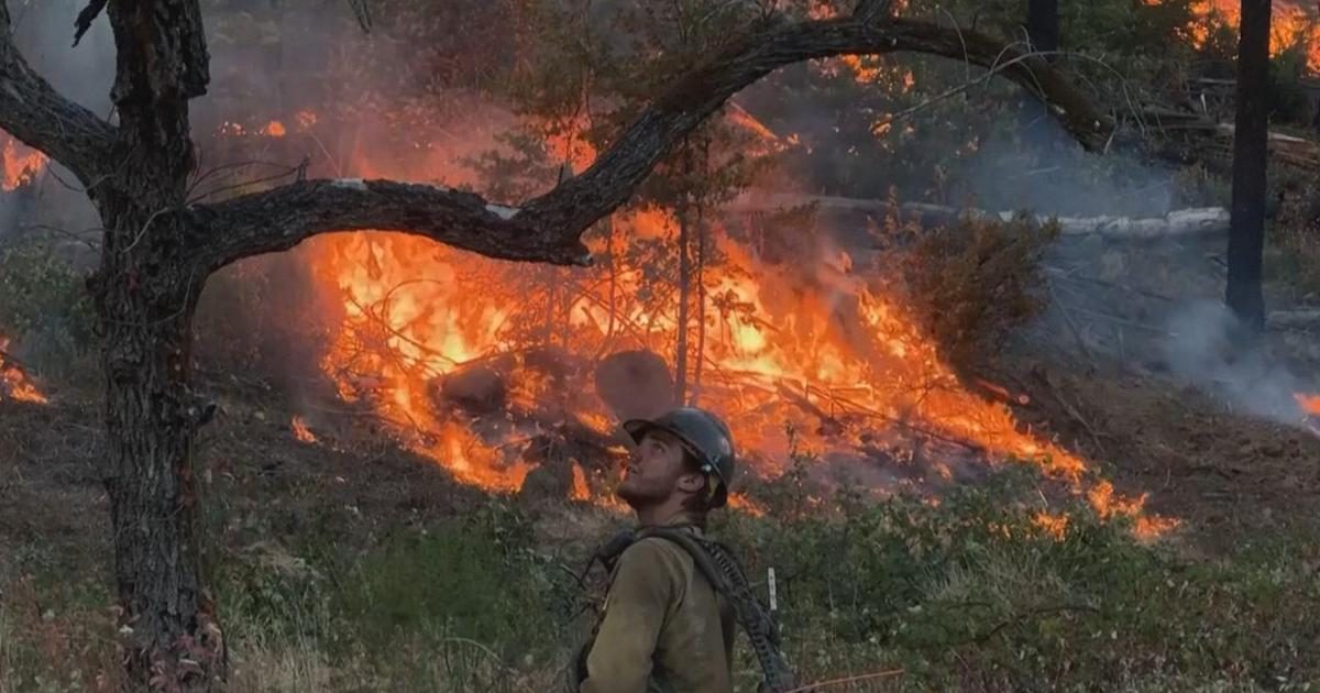 Il fuoco brucia la California: pompieri in azione tra le fiamme, il vento alimenta gli incendi