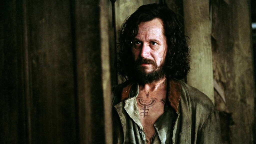 Gary Oldman expects HBO's Harry Potter will satisfy fans