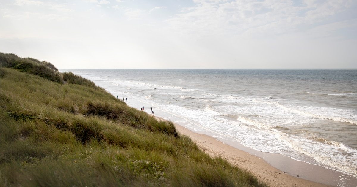 Le corps sans vie d’une femme retrouvé échoué sur la plage à Oostduinkerke : la police confirme et enquête