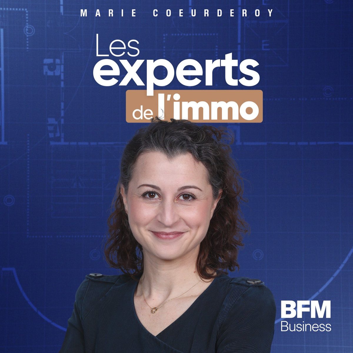 Les Experts de l'immo : Immobilier locatif, les limites du dispositif Jeanbrun - 10/09