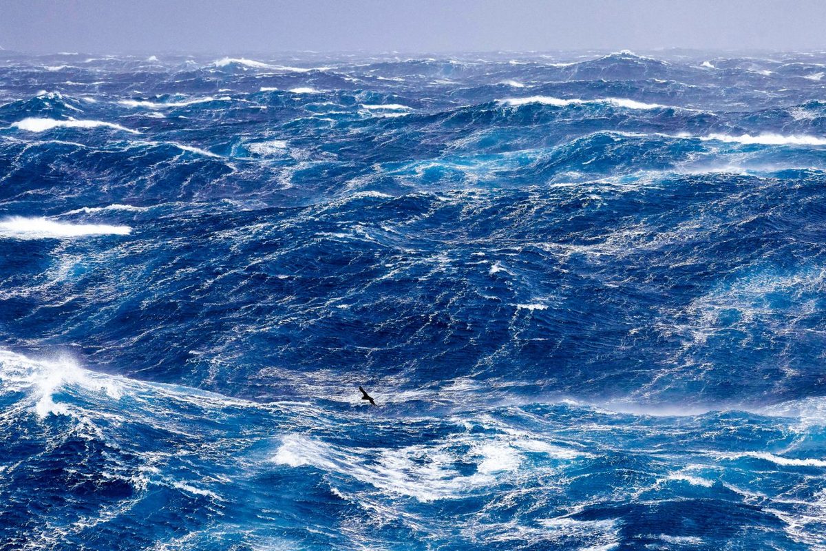 The world’s biggest carbon sink may start emitting CO2 after net zero