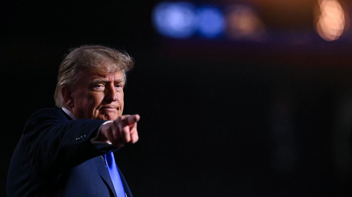Donald Trump peut-il vraiment distribuer 5 000 dollars à chaque adulte américain à l'issue des élections de mi-mandat ?